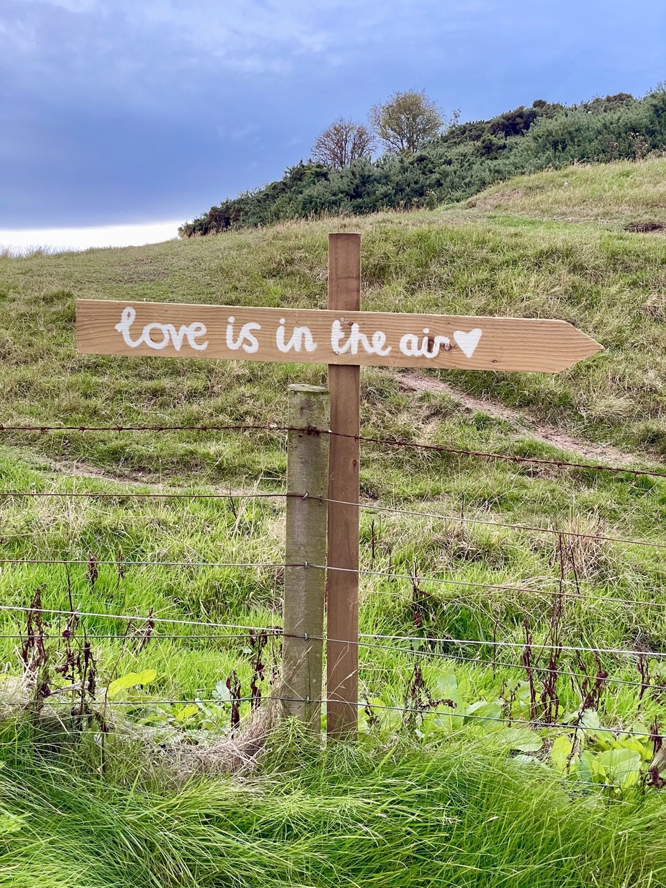 LoveIsInTheAirOutdoorSign LoveIsInTheAirOutdoorSign